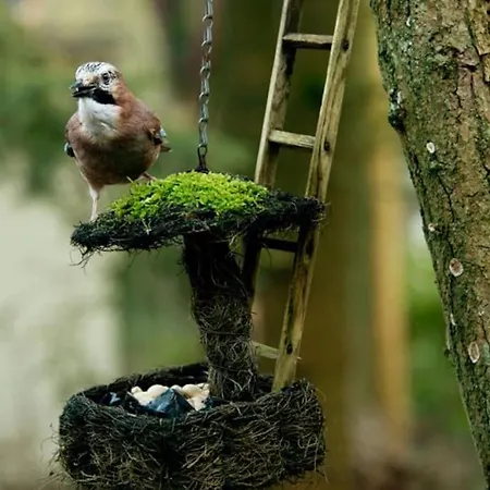 Dom wakacyjny Nunspeet Vakantiehuisje