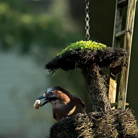 Nunspeet Vakantiehuisje Dom wakacyjny Nunspeet